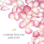 Dove Antiperspirant Deodorant Stick 48 Hour Protection And Soft And Comfortable Underarms Rose Petals Deodorant for Women, 2.6 Ounce (Pack of 4) - Image 5